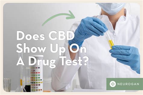 does cbd show up on drug test